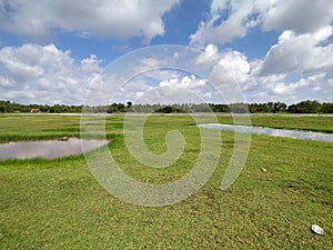 Beautiful green fields blue sky background and water holes