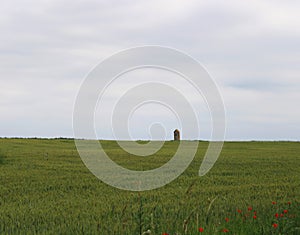 Beautiful green fields with clouds