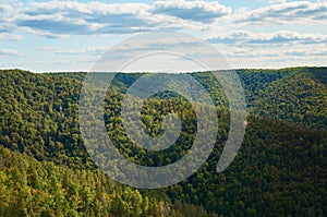 Beautiful green forest against the blue sky with clouds. Natural Park