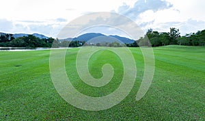 Beautiful green grass field of golf course