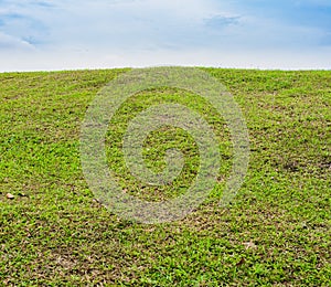 Beautiful Green grass field on small hill and blue sky