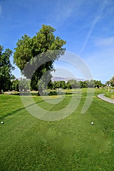 Furnace Creek Golf Course Death Valley photo