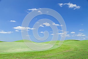 Beautiful Green grass on a golf field blue sky scenery background.