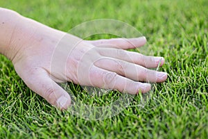 Beautiful green grass. The hand of the child touches the grass. Back to nature, love earth. Environment concept.