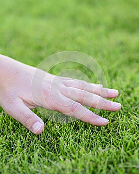 Beautiful green grass. The hand of the child touches the grass. Back to nature, love earth. Environment concept.