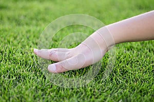 Beautiful green grass. The hand of the child touches the grass. Back to nature, love earth. Environment concept.