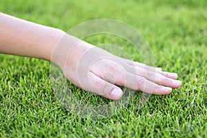 Beautiful green grass. The hand of the child touches the grass. Back to nature, love earth. Environment concept.