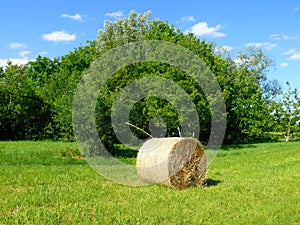 Beautiful green field with hay roll