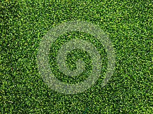 Beautiful green grass pattern from golf course for background. Copy space for work and design, Top view