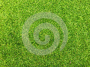 Beautiful green grass pattern from golf course for background. Copy space for work and design, Top view