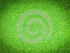 Beautiful green grass pattern from golf course for background. Copy space for work and design, Top view