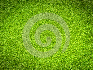 Beautiful green grass pattern from golf course for background. Copy space for work and design, Top view