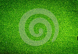Beautiful green grass pattern from golf course for background. Copy space for work and design, Top view