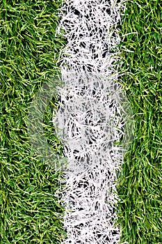 Beautiful green grass texture