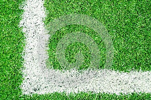 Beautiful green grass texture