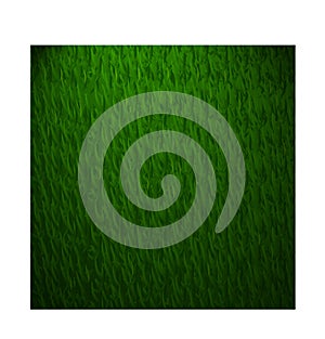 Beautiful green grass texture