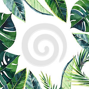 Beautiful green herbal tropical wonderful hawaii floral summer frame of a tropic palm leaves watercolor hand illustration