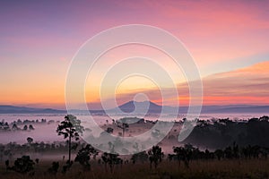 Beautiful green hills glowing warm sunrise,Dramatic shine silhouette tree colorful warm above mountain at Thung Salaeng Luang Na