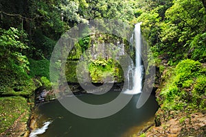 Beautiful Green Kaiate Falls, New Zealand