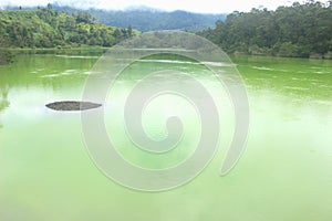 the beautiful green lake Telaga Warna