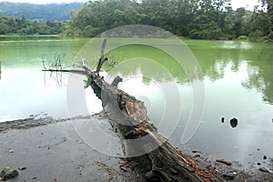 the beautiful green lake Telaga Warna