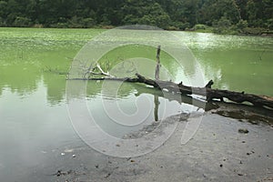 the beautiful green lake Telaga Warna