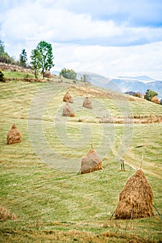 Beautiful green landscape with grass hays and village houses in the Apuseni Mountains, Romania