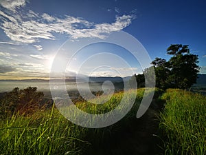 Beautiful green landscape during sunrise