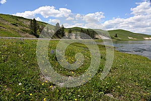 Green landscape with lake