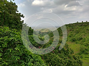 Beautiful green landscape view of a hill from the top of a tree in a forest