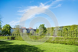 beautiful green lawn with trees and bushes in botanical garden