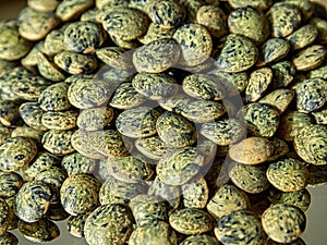Beautiful green lentils from close up