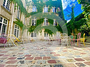 A beautiful green and lush corner in Paris