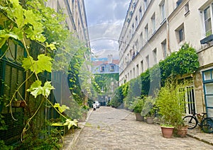 A beautiful green and lush corner in Paris