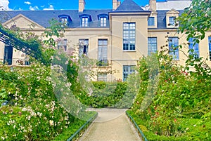 A beautiful green and lush corner in Paris