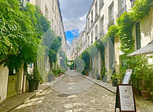 A beautiful green and lush corner in Paris