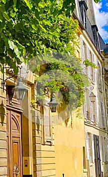 A beautiful green and lush corner in Paris