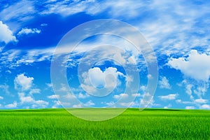 Beautiful green meadow with blue sky, clean environment background.