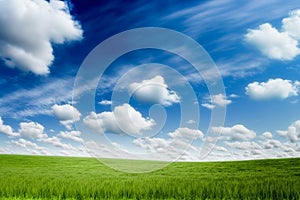 Beautiful green meadow with blue sky, clean environment background.