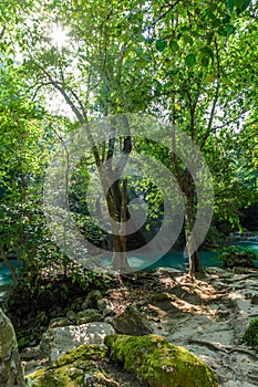 Beautiful green minerally water flows in the forest of Erawan National park in Thailand with some mossy rocks in the