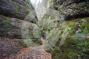 Beautiful green mossy Drachenschlucht dragonÂ´s canyon in Eisenach, ThÃ¼ringen in Germany