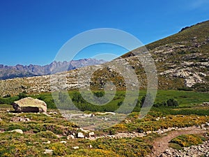 beautiful green mountain meadow with yellow flowers water pool