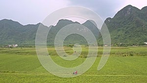 Beautiful green mountains rise above boundless peanut field