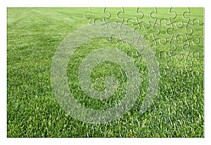 Beautiful green mowed lawn in jigsaw puzzle shape - concept image