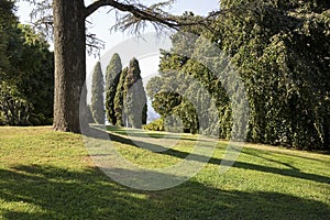 Beautiful green mowed lawn with trees in sprigtime - Italian landscape