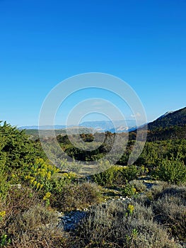 beautiful green landscpe at a sunny day photo