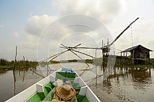 Beautiful green nature view of white samet tree and Water mimosa at Talay-Noi Wetland in Phattalung province ,Thailand