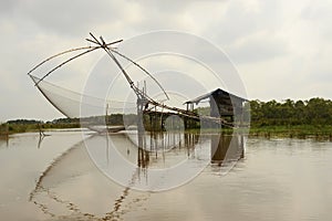 Beautiful green nature view of white samet tree and Water mimosa at Talay-Noi Wetland in Phattalung province ,Thailand