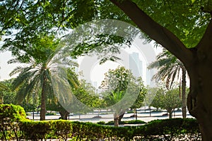 Beautiful green park in the city of Dubai, United Arab Emirates