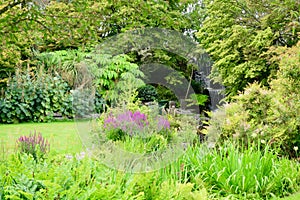 A beautiful green park with some water features, bright lush green vegetations and plenty of wildflower